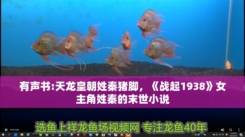 有聲書:天龍皇朝姓秦豬腳，《戰起1938》女主角姓秦的末世小說