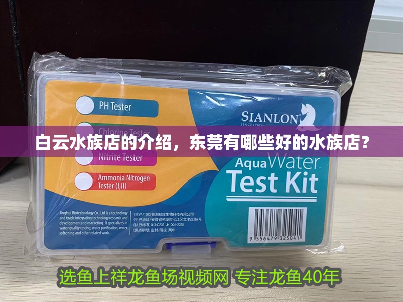 白云水族店的介紹，東莞有哪些好的水族店？