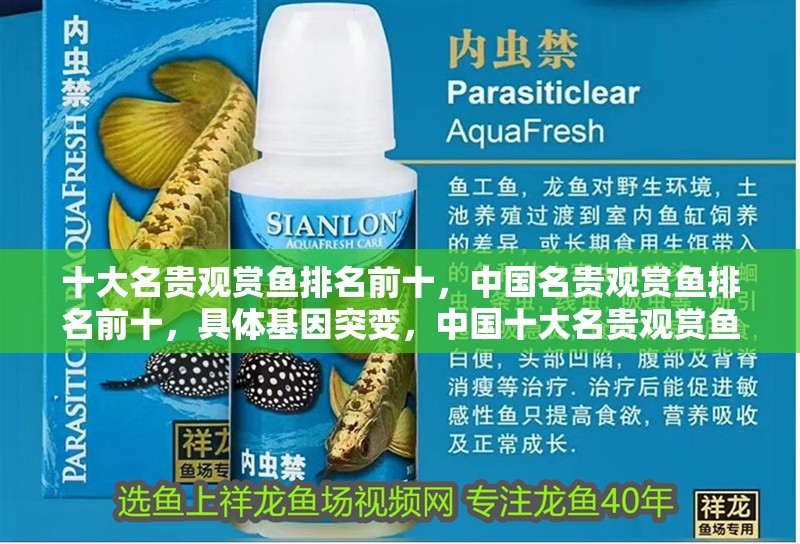 十大名貴觀賞魚排名前十，中國名貴觀賞魚排名前十，具體基因突變，中國十大名貴觀賞魚排名前十，中國名貴觀賞魚排名前十