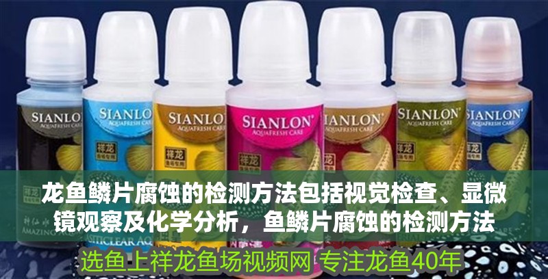 龍魚鱗片腐蝕的檢測方法包括視覺檢查、顯微鏡觀察及化學分析，魚鱗片腐蝕的檢測方法