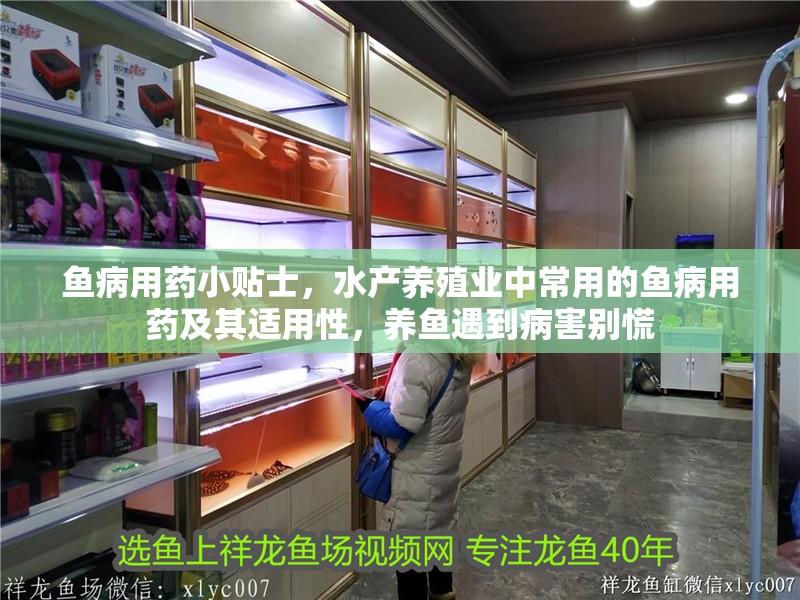 魚病用藥小貼士，水產(chǎn)養(yǎng)殖業(yè)中常用的魚病用藥及其適用性，養(yǎng)魚遇到病害別慌 魚病用藥小貼士，水產(chǎn)養(yǎng)殖業(yè)中常用的魚病用藥及其適用性，養(yǎng)魚遇到病害別慌 龍魚百科