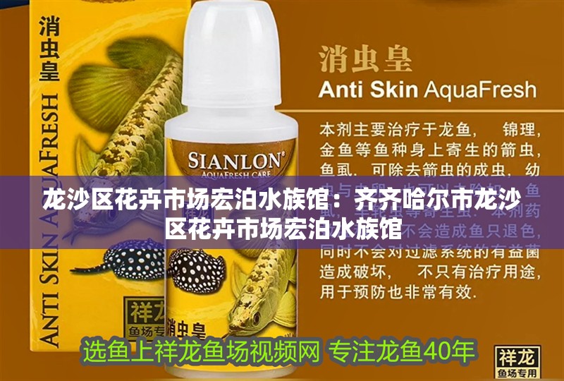 龍沙區花卉市場宏泊水族館：齊齊哈爾市龍沙區花卉市場宏泊水族館 龍沙區花卉市場宏泊水族館：齊齊哈爾市龍沙區花卉市場宏泊水族館 觀賞魚百科