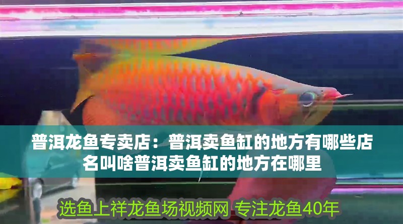 普洱龍魚專賣店：普洱賣魚缸的地方有哪些店名叫啥普洱賣魚缸的地方在哪里