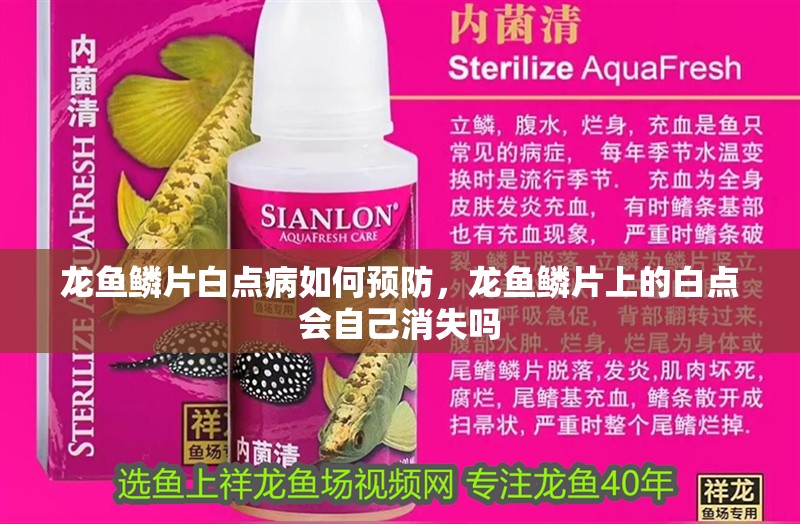 龍魚鱗片白點病如何預防，龍魚鱗片上的白點會自己消失嗎