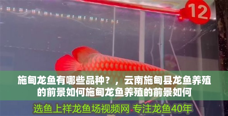 施甸龍魚有哪些品種？，云南施甸縣龍魚養(yǎng)殖的前景如何施甸龍魚養(yǎng)殖的前景如何
