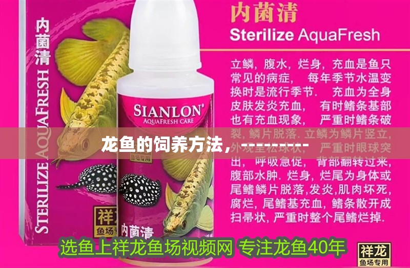 龍魚的飼養方法，---------