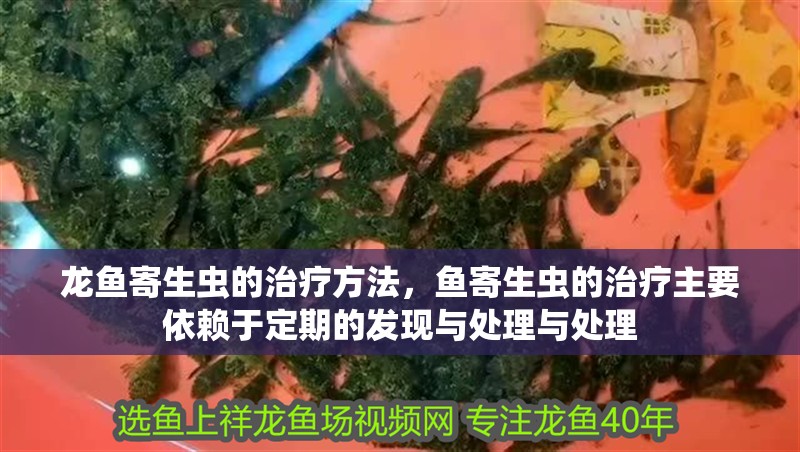 龍魚寄生蟲的治療方法，魚寄生蟲的治療主要依賴于定期的發現與處理與處理