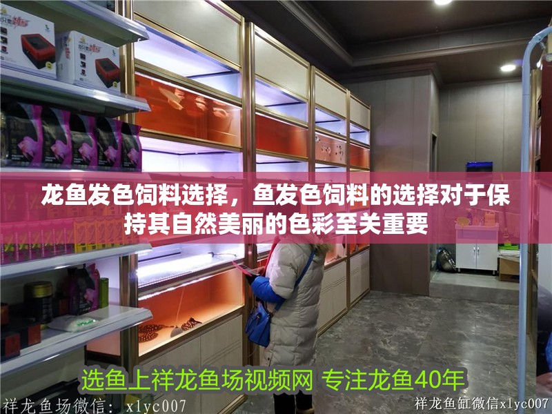 龍魚發色飼料選擇，魚發色飼料的選擇對于保持其自然美麗的色彩至關重要