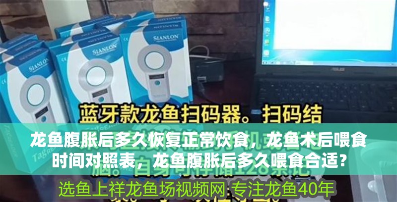 龍魚腹脹后多久恢復正常飲食，龍魚術后喂食時間對照表，龍魚腹脹后多久喂食合適？ 龍魚腹脹后多久恢復正常飲食，龍魚術后喂食時間對照表，龍魚腹脹后多久喂食合適？ 龍魚百科 第3張