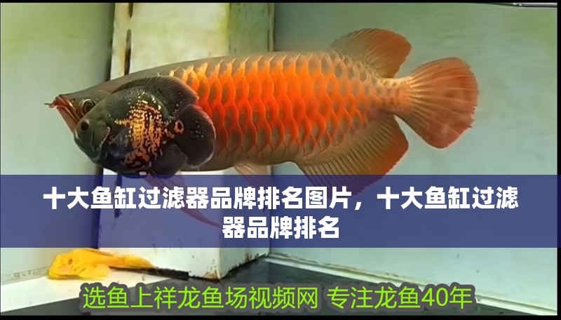 十大魚缸過濾器品牌排名圖片，十大魚缸過濾器品牌排名