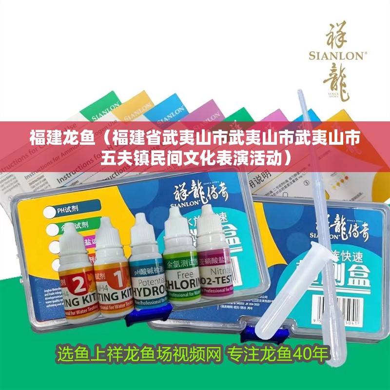 福建龍魚（福建省武夷山市武夷山市武夷山市五夫鎮民間文化表演活動）