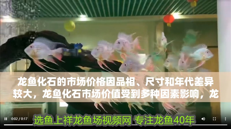 龍魚化石的市場價格因品相、尺寸和年代差異較大，龍魚化石市場價值受到多種因素影響，龍魚化石選購避坑清單
