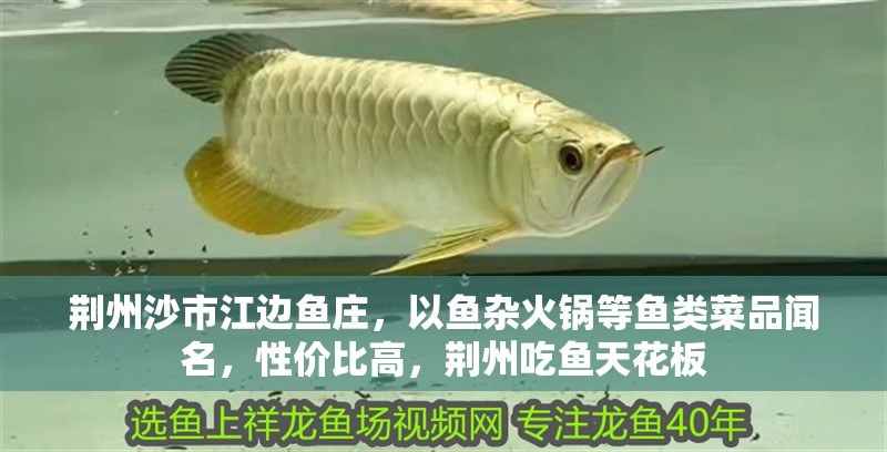 荊州沙市江邊魚莊，以魚雜火鍋等魚類菜品聞名，性價比高，荊州吃魚天花板