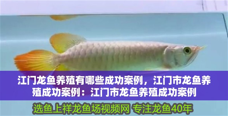 江門龍魚(yú)養(yǎng)殖有哪些成功案例，江門市龍魚(yú)養(yǎng)殖成功案例：江門市龍魚(yú)養(yǎng)殖成功案例