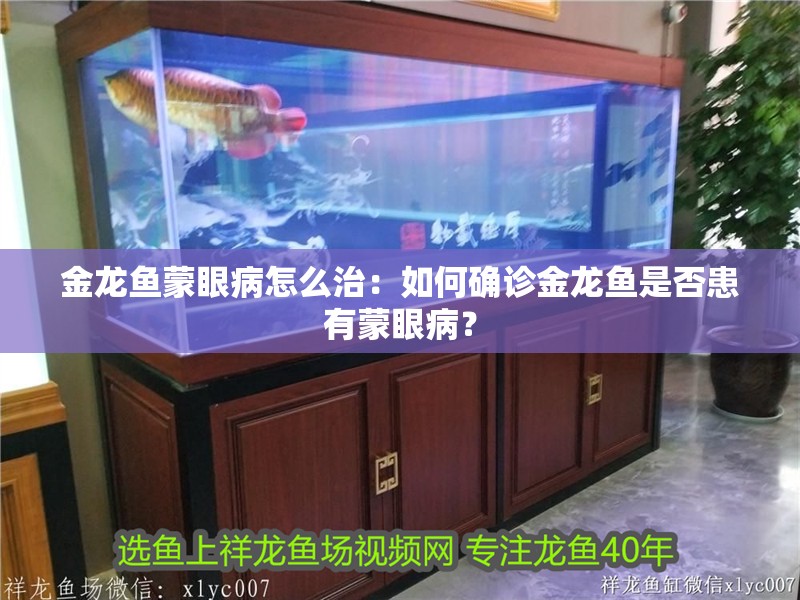 金龍魚蒙眼病怎么治：如何確診金龍魚是否患有蒙眼?。?></span></p></div><blockquote style='border:1px #d0d4c8 dashed;background-color:#f4f5f6'><p class=