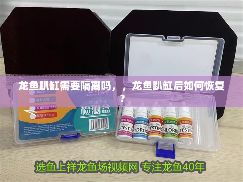 龍魚趴缸需要隔離嗎，，龍魚趴缸后如何恢復？