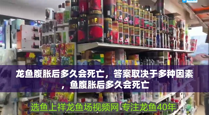 龍魚腹脹后多久會死亡，答案取決于多種因素，魚腹脹后多久會死亡
