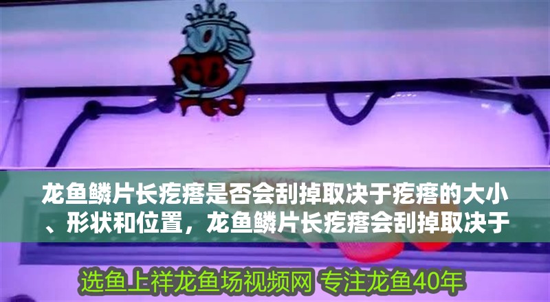 龍魚鱗片長疙瘩是否會刮掉取決于疙瘩的大小、形狀和位置，龍魚鱗片長疙瘩會刮掉取決于疙瘩的大小、形狀和位置 龍魚鱗片長疙瘩是否會刮掉取決于疙瘩的大小、形狀和位置，龍魚鱗片長疙瘩會刮掉取決于疙瘩的大小、形狀和位置 龍魚百科 第3張