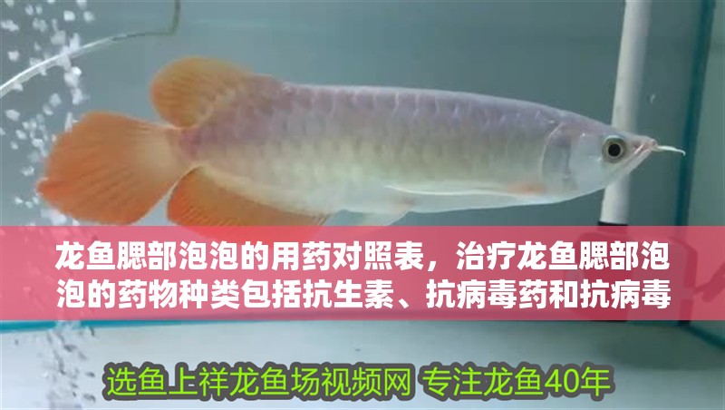 龍魚(yú)腮部泡泡的用藥對(duì)照表，治療龍魚(yú)腮部泡泡的藥物種類包括抗生素、抗病毒藥和抗病毒藥