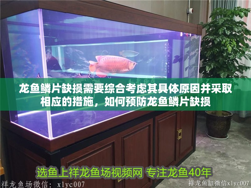 龍魚鱗片缺損需要綜合考慮其具體原因并采取相應的措施，如何預防龍魚鱗片缺損