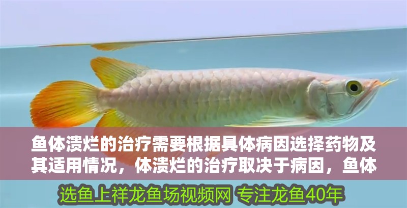 魚體潰爛的治療需要根據具體病因選擇藥物及其適用情況，體潰爛的治療取決于病因，魚體潰爛的治療取決于病因