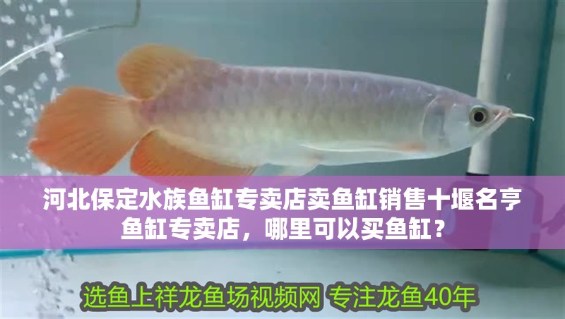 河北保定水族魚缸專賣店賣魚缸銷售十堰名亨魚缸專賣店，哪里可以買魚缸？