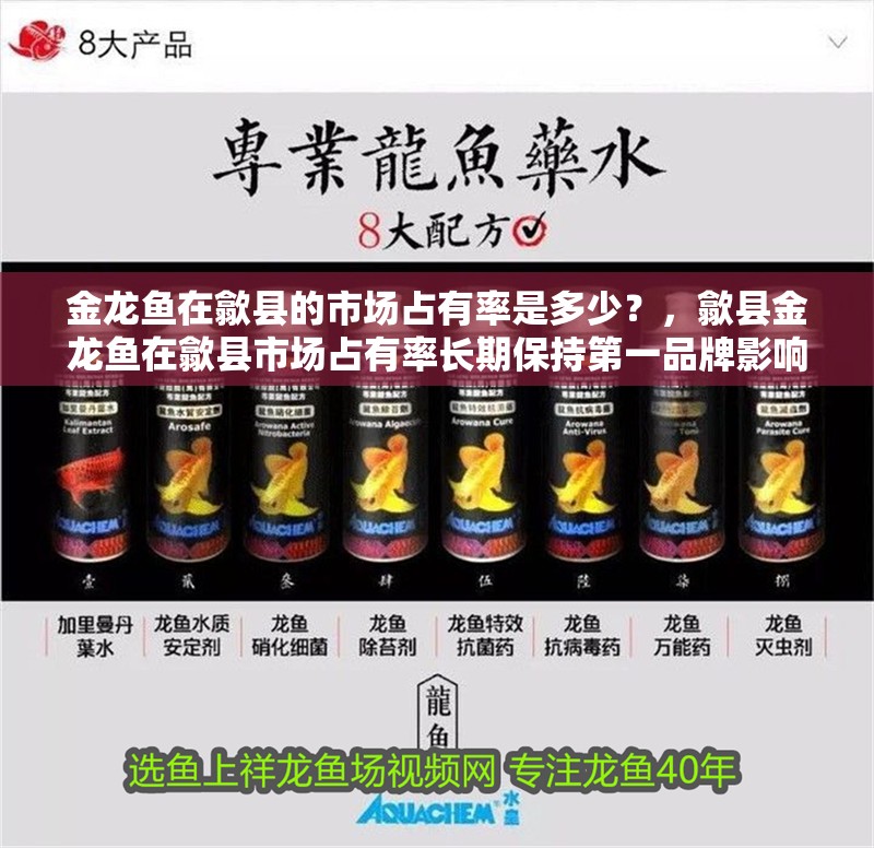 金龍魚在歙縣的市場占有率是多少？，歙縣金龍魚在歙縣市場占有率長期保持第一品牌影響力