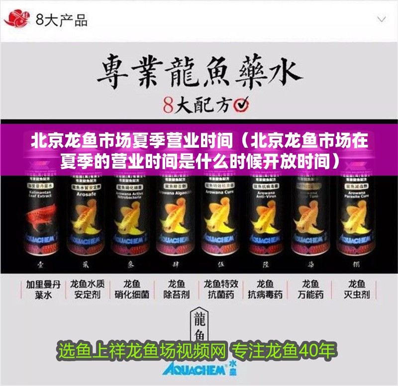 北京龍魚市場夏季營業時間（北京龍魚市場在夏季的營業時間是什么時候開放時間）