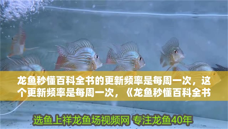 龍魚秒懂百科全書的更新頻率是每周一次，這個(gè)更新頻率是每周一次，《龍魚秒懂百科全書》更新頻率是每周一次 龍魚秒懂百科全書的更新頻率是每周一次，這個(gè)更新頻率是每周一次，《龍魚秒懂百科全書》更新頻率是每周一次 龍魚百科
