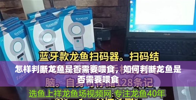怎樣判斷龍魚是否需要喂食，如何判斷龍魚是否需要喂食