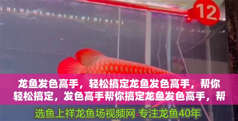 龍魚發(fā)色高手，輕松搞定龍魚發(fā)色高手，幫你輕松搞定，發(fā)色高手幫你搞定龍魚發(fā)色高手，幫你輕松搞定