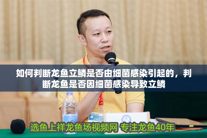 如何判斷龍魚立鱗是否由細菌感染引起的，判斷龍魚是否因細菌感染導致立鱗