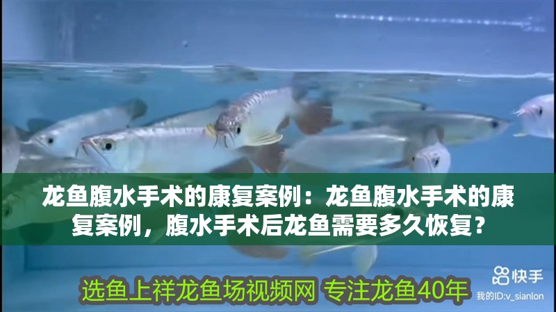 龍魚腹水手術的康復案例：龍魚腹水手術的康復案例，腹水手術后龍魚需要多久恢復？
