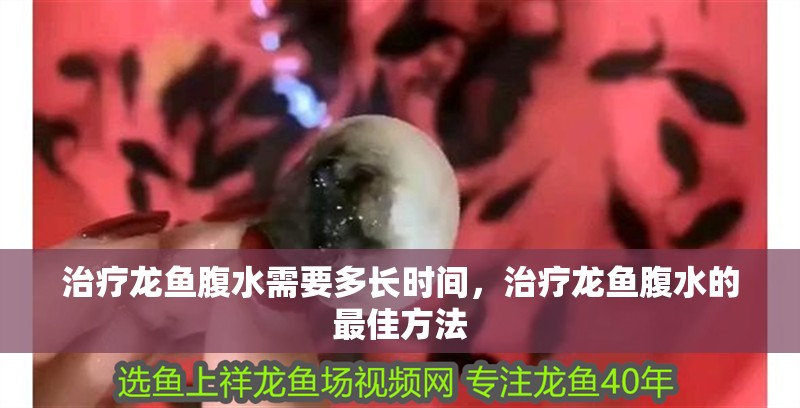 治療龍魚腹水需要多長時間，治療龍魚腹水的最佳方法