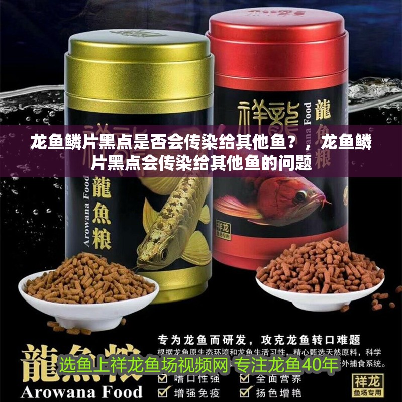 龍魚鱗片黑點是否會傳染給其他魚？，龍魚鱗片黑點會傳染給其他魚的問題