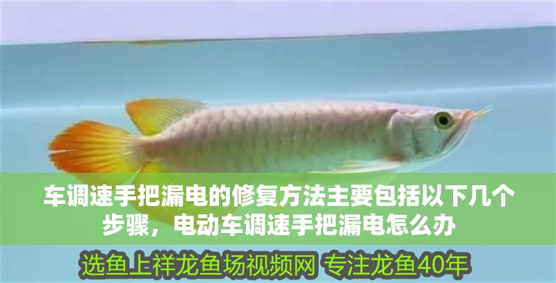 車調(diào)速手把漏電的修復(fù)方法主要包括以下幾個步驟，電動車調(diào)速手把漏電怎么辦