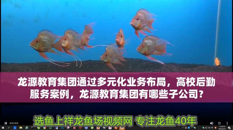 龍源教育集團通過多元化業務布局，高校后勤服務案例，龍源教育集團有哪些子公司？