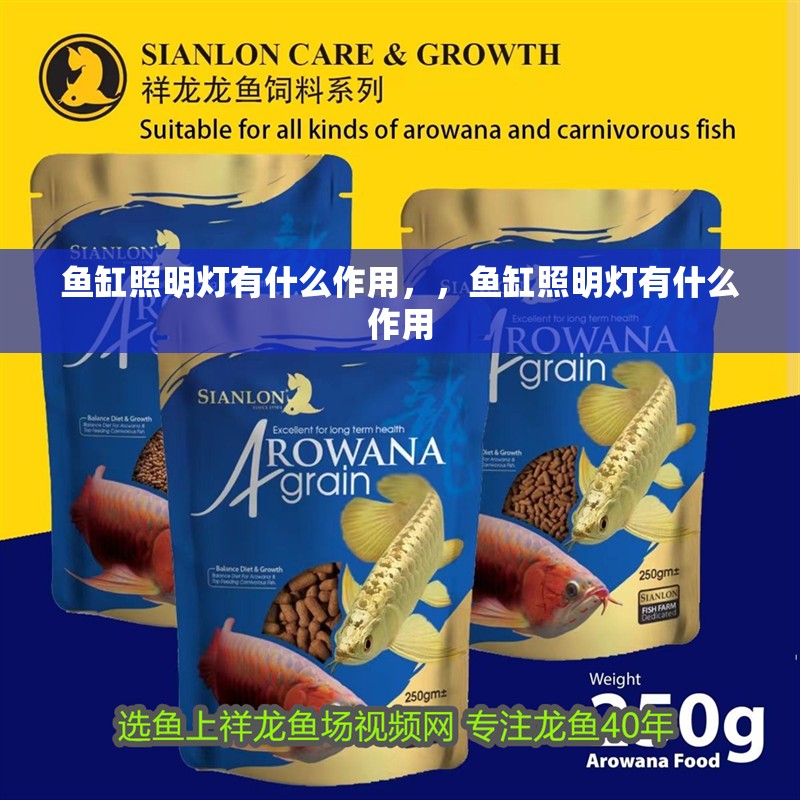 魚(yú)缸照明燈有什么作用，，魚(yú)缸照明燈有什么作用