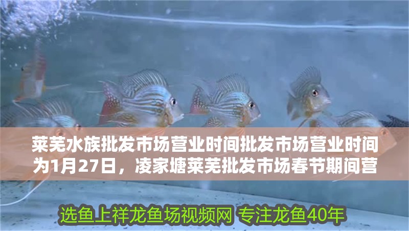 萊蕪水族批發市場營業時間批發市場營業時間為1月27日，凌家塘萊蕪批發市場春節期間營業時間
