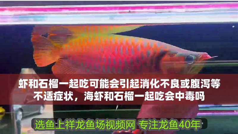 蝦和石榴一起吃可能會引起消化不良或腹瀉等不適癥狀，海蝦和石榴一起吃會中毒嗎