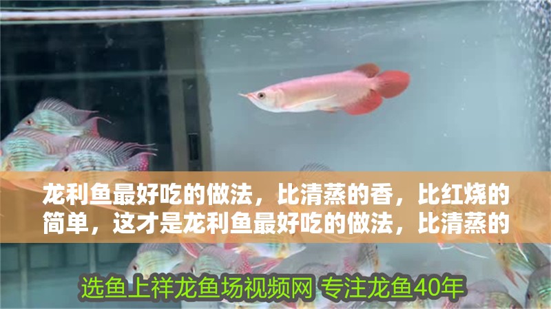 龍利魚最好吃的做法，比清蒸的香，比紅燒的簡單，這才是龍利魚最好吃的做法，比清蒸的香，比紅燒的簡單