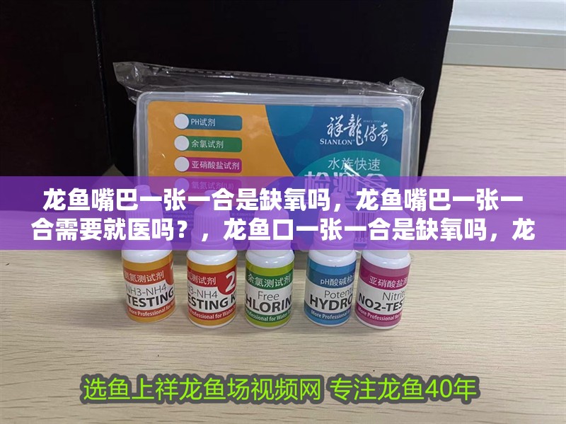 龍魚嘴巴一張一合是缺氧嗎，龍魚嘴巴一張一合需要就醫嗎？，龍魚口一張一合是缺氧嗎，龍魚嘴巴一張一合是缺氧嗎