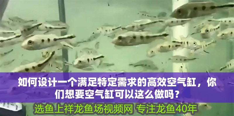 如何設(shè)計一個滿足特定需求的高效空氣缸，你們想要空氣缸可以這么做嗎？