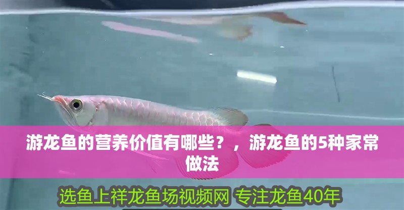 游龍魚的營養價值有哪些？，游龍魚的5種家常做法