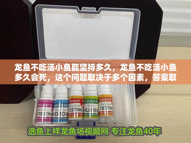 龍魚不吃活小魚能堅(jiān)持多久，龍魚不吃活小魚多久會(huì)死，這個(gè)問題取決于多個(gè)因素，答案取決于多個(gè)因素