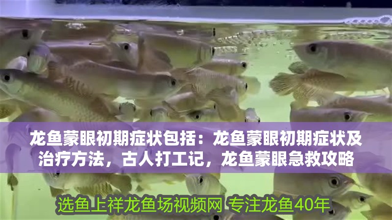 龍魚蒙眼初期癥狀包括：龍魚蒙眼初期癥狀及治療方法，古人打工記，龍魚蒙眼急救攻略