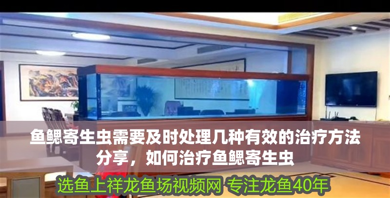魚鰓寄生蟲需要及時處理幾種有效的治療方法分享，如何治療魚鰓寄生蟲
