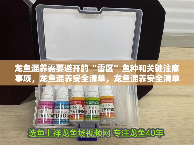 龍魚混養需要避開的“雷區”魚種和關鍵注意事項，龍魚混養安全清單，龍魚混養安全清單