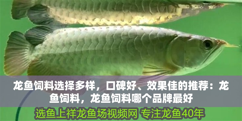 龍魚飼料選擇多樣，口碑好、效果佳的推薦：龍魚飼料，龍魚飼料哪個品牌最好