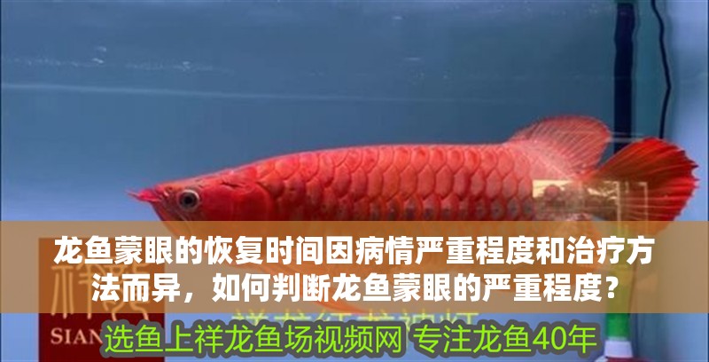 龍魚蒙眼的恢復時間因病情嚴重程度和治療方法而異，如何判斷龍魚蒙眼的嚴重程度？ 龍魚蒙眼的恢復時間因病情嚴重程度和治療方法而異，如何判斷龍魚蒙眼的嚴重程度？ 龍魚百科